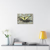 Butterfly Canvas Wall Art