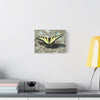 Butterfly Canvas Wall Art