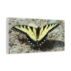 Butterfly Canvas Wall Art