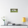 Scenic Boat Ride Canvas Print