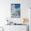 Winter Church Canvas Print