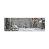 Winter Wonderland Canvas Art
