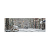 Winter Wonderland Canvas Art