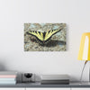 Butterfly Canvas Wall Art
