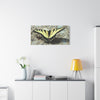 Butterfly Canvas Wall Art