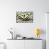 Butterfly Canvas Wall Art