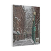 Winter Wonderland Canvas Print