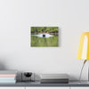 Scenic Boat Ride Canvas Print