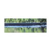Serene Waterfall Canvas Wall Art