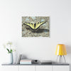 Butterfly Canvas Wall Art