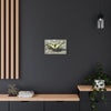 Butterfly Canvas Wall Art