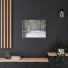 Winter Wonderland Canvas Art