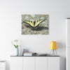Butterfly Canvas Wall Art