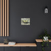 Butterfly Canvas Wall Art