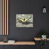 Butterfly Canvas Wall Art