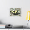 Butterfly Canvas Wall Art