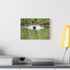 Scenic Boat Ride Canvas Print