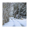 Snowy Winter Road Canvas Art