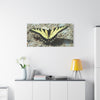 Butterfly Canvas Wall Art