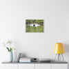 Scenic Boat Ride Canvas Print