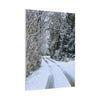 Snowy Winter Road Canvas Art