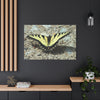 Butterfly Canvas Wall Art