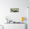 Butterfly Canvas Wall Art
