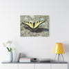 Butterfly Canvas Wall Art