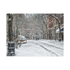 Winter Wonderland Canvas Art