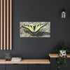 Butterfly Canvas Wall Art