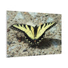 Butterfly Canvas Wall Art