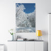 Winter Church Canvas Print