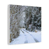 Snowy Winter Road Canvas Art