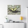 Butterfly Canvas Wall Art