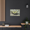 Butterfly Canvas Wall Art