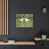 Scenic Boat Ride Canvas Print