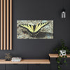 Butterfly Canvas Wall Art