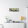 Butterfly Canvas Wall Art