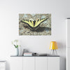 Butterfly Canvas Wall Art
