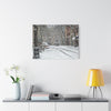Winter Wonderland Canvas Art