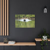 Scenic Boat Ride Canvas Print
