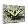 Butterfly Canvas Wall Art