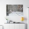 Winter Wonderland Canvas Art
