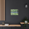 Serene Waterfall Canvas Wall Art
