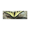 Butterfly Canvas Wall Art