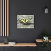 Butterfly Canvas Wall Art