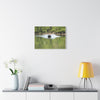 Scenic Boat Ride Canvas Print
