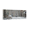 Winter Wonderland Canvas Art