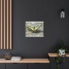 Butterfly Canvas Wall Art