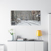 Winter Wonderland Canvas Art